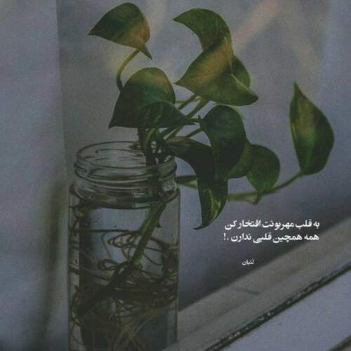 دانلود آهنگ ناز اون نگات ایولا داره از سعید پورسعید