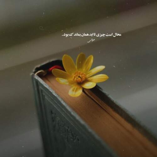 دانلود آهنگ تا بهار دلنشین با صدای زن