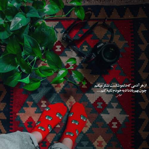 دانلود آهنگ تو رفتی و دلم غمین شد از الهه