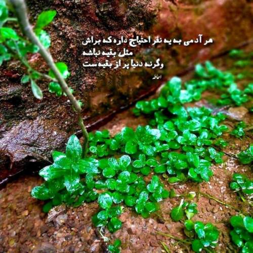 دانلود آهنگ یهو بزنه شب شه آسمون واسمون پر رنگ شه از دویار