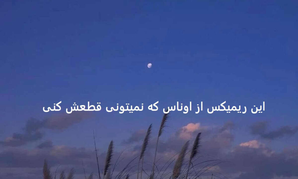 دانلود ریمیکس دل دیوونه