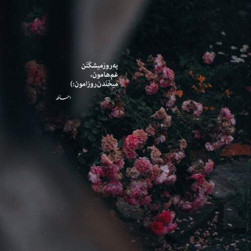 دانلود آهنگ شدم عاشق سادگیات