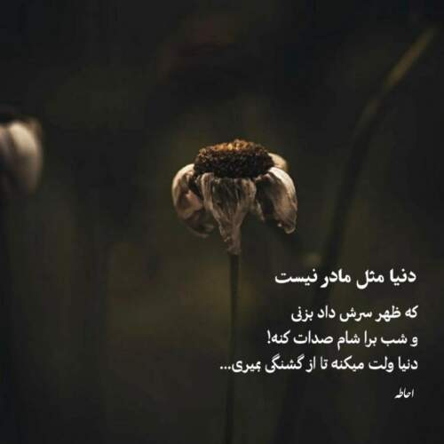 دانلود آهنگ تو از طلوع صبحی ریمیکس با صدای زن