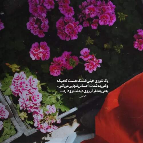 دانلود آهنگ انته گلب گلبی الک با صدای مرد اینستاگرام
