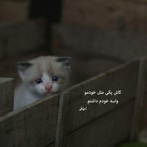 دانلود آهنگ آروم آروم دوباره دل هوای گریه داره