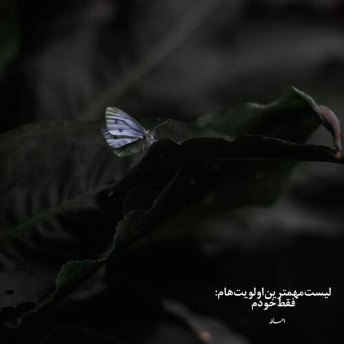 دانلود آهنگ بی معرفت از مرتضی جعفرزاده