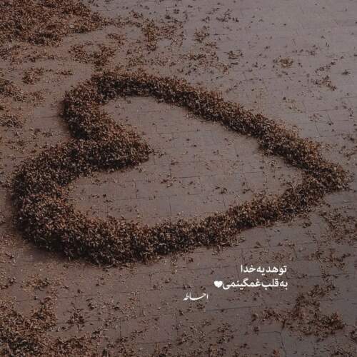 دانلود آهنگ بیا بیا از شهرام صولتی