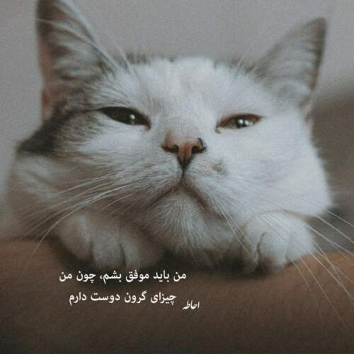 دانلود آهنگ مو روش کراش دارم خاطره باش داروم از مصطفی ابراهیمی