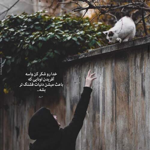 دانلود آهنگ دلمو میزنم به دریا بی قایق عشق جانم