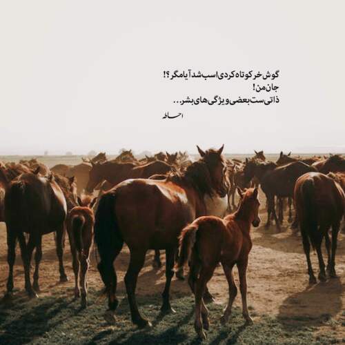 دانلود ریمیکس دنیا قشنگ نیست بارون قشنگ نیست