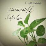 دانلود آهنگ حمید هیراد نیمه جانم