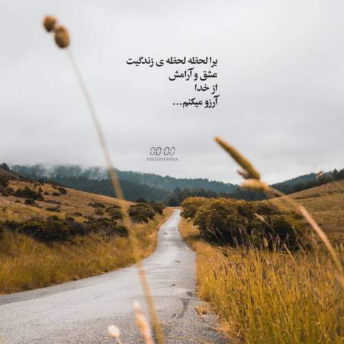 دانلود آهنگ جناب سروان ولم کن با صدای زن