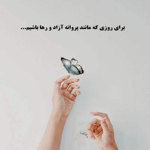 دانلود آهنگ همه گوشمو پر میکنن که دیگه گریه واسه تو بسه