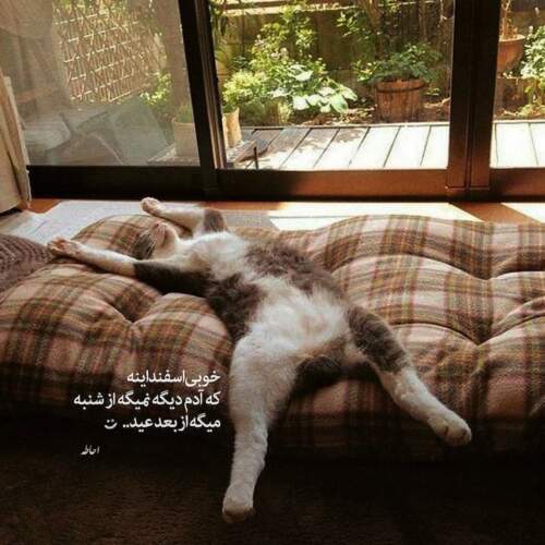 دانلود آهنگ مرا چشمیست خون افشان ز دست آن کمان ابرو