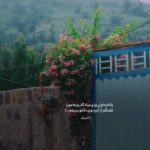 دانلود آهنگ محسن ابراهیم زاده دونه دونه ۲ دانلود آهنگ محسن ابراهیم زاده دونه دونه ۲