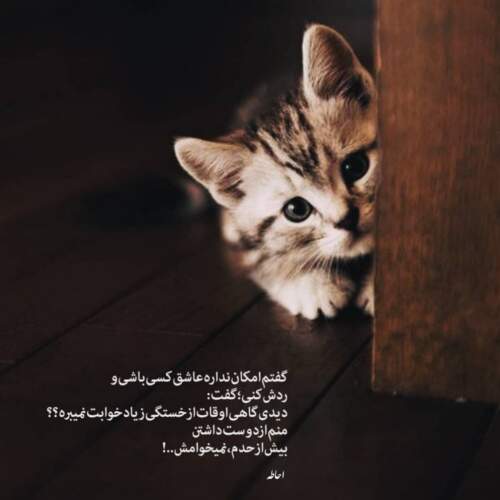 دانلود آهنگ پسر دلفینی بدون تو نفس نمیکشم