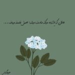 دانلود آهنگ ریوان کش مو دانلود آهنگ ریوان کش مو