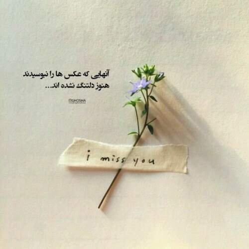دانلود آهنگ رویا حسین تهی