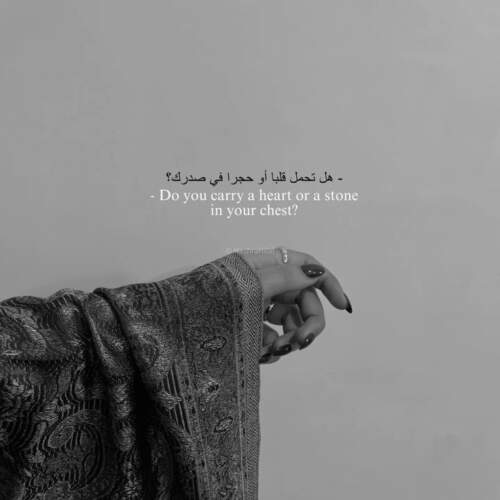 دانلود آهنگ شهلای من از حبیب