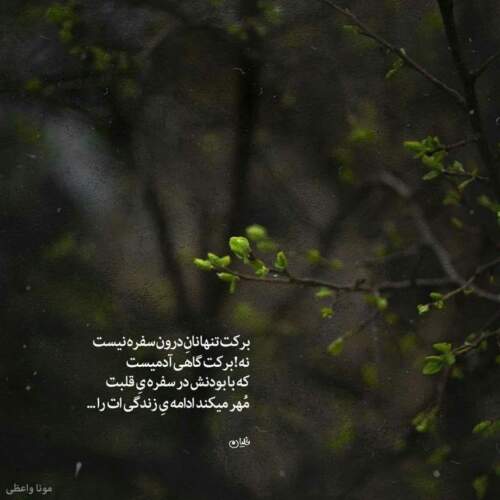 دانلود آهنگ تو مقدسی مثل عبادتم تو رو دوست دارم