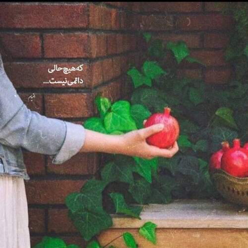 دانلود آهنگ حسین تهی چطوری گل