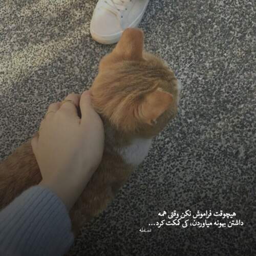 دانلود آهنگ تمنا از معین