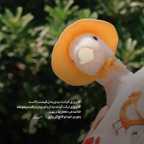 دانلود ریمیکس ضربان قلبم با تو میره بالا