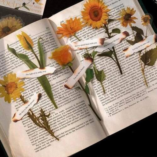 دانلود آهنگ ۱۲ به بعد حصین و سهراب ام جی