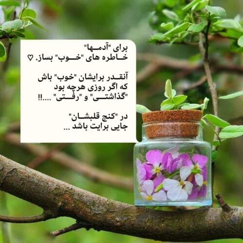 دانلود آهنگ عروس دوماد محو تماشای هم