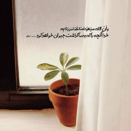 دانلود آهنگ بندری از حبیب