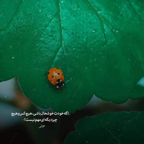 دانلود آهنگ بسه دیگه گله نکن هربار منم خیلی وقتا حس میکنم تنهام