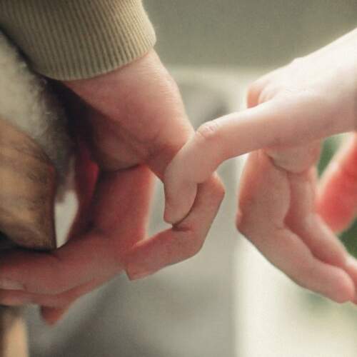 دانلود آهنگ دیوانه عشقت را جایی نظر افتادست