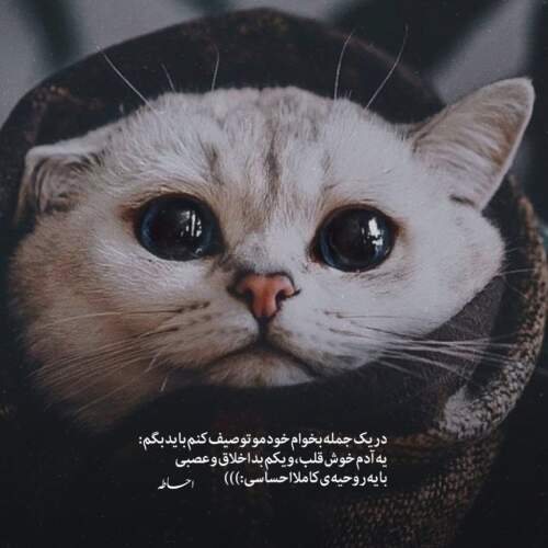 دانلود آهنگ فیک تی ام بکس