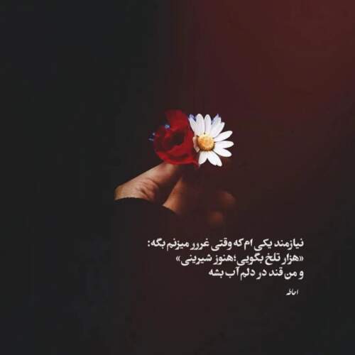 دانلود آهنگ فرشید امین بانو