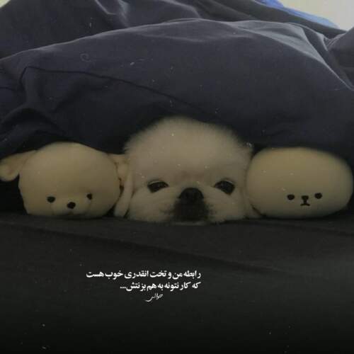 دانلود آهنگ قلب منی همه هم و غم منی