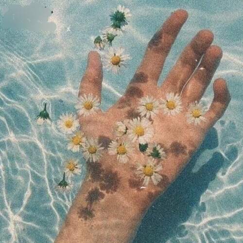 دانلود آهنگ حامد آئین ماهی