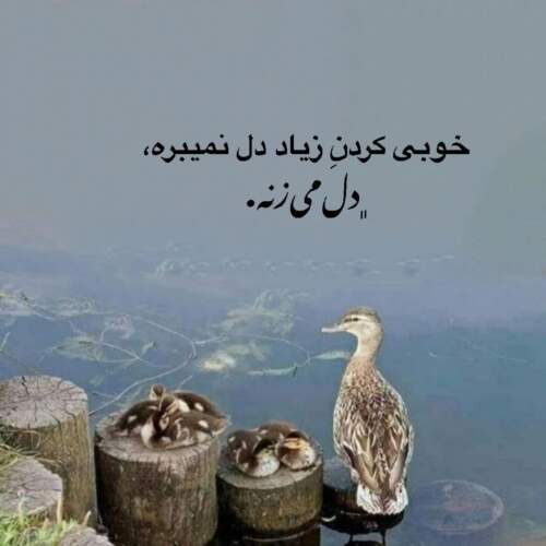 دانلود آهنگ خالو خالو یار مو خیلی قشنگه از مرتضی