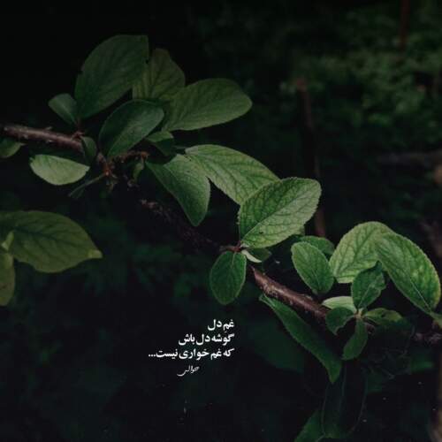 دانلود آهنگ کجایی آرزوی محال ریمیکس اینستا