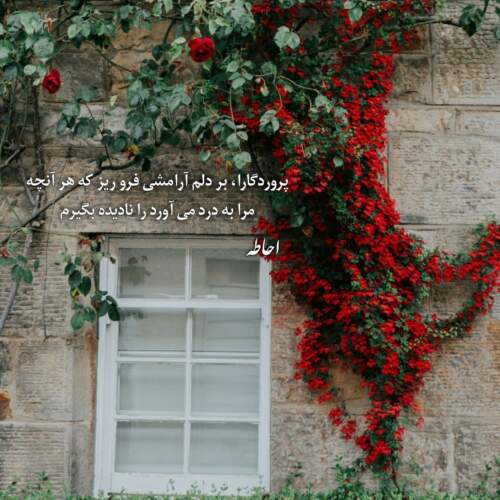 دانلود آهنگ منو تو باید تو یه خونه خفن بشینیم
