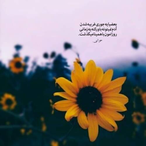 دانلود آهنگ من از خدامه بمونی کنارم