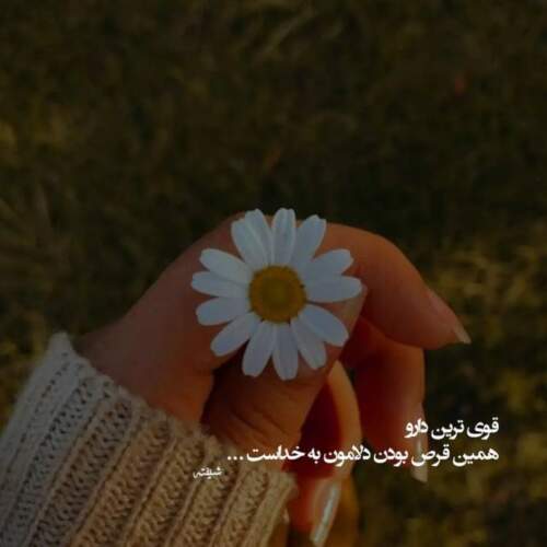 دانلود آهنگ من هنوز چیزی نگفتم که تو طاقتت تموم شد
