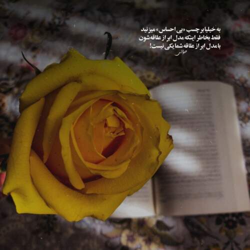 دانلود آهنگ من زاده ی علی مرتضایم محمد اصفهانی