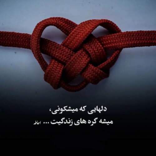دانلود آهنگ منم با نداریم همه غماتو میخرم از تتلو