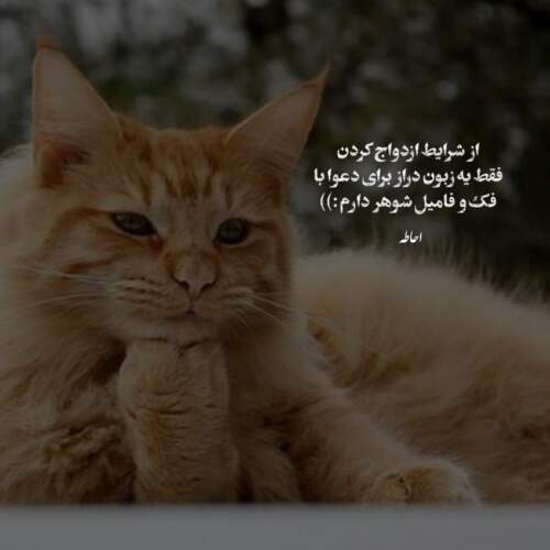دانلود آهنگ میچکا بیژن مرتضوی