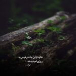 دانلود آهنگ معین زد چه حیف دانلود آهنگ معین زد چه حیف