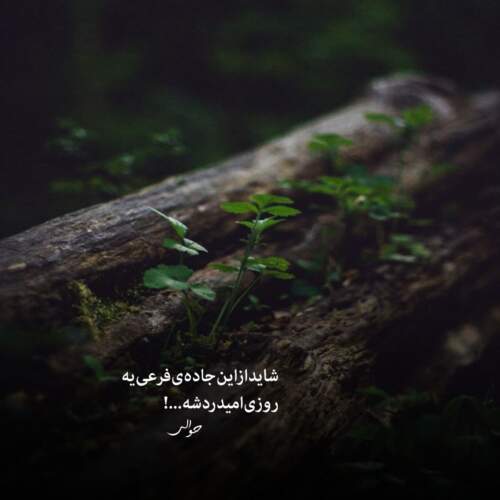 دانلود آهنگ معین زد چه حیف