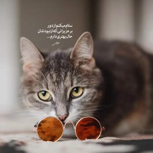 دانلود آهنگ سخته حرفم رسیده وقت رفتن