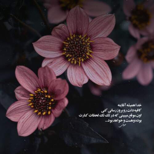 دانلود ریمیکس زبونمو بستی با محبت ای یار