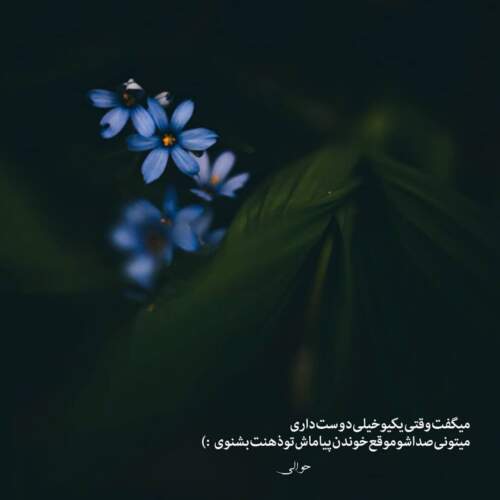 دانلود آهنگ زدم به سیم آخرو گفتم ولش کن بیخیال