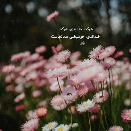 دانلود آهنگ دختر دایی سندی